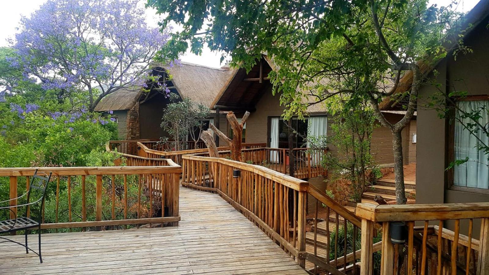Golders Green Entabeni Mountain Lodges מראה חיצוני תמונה